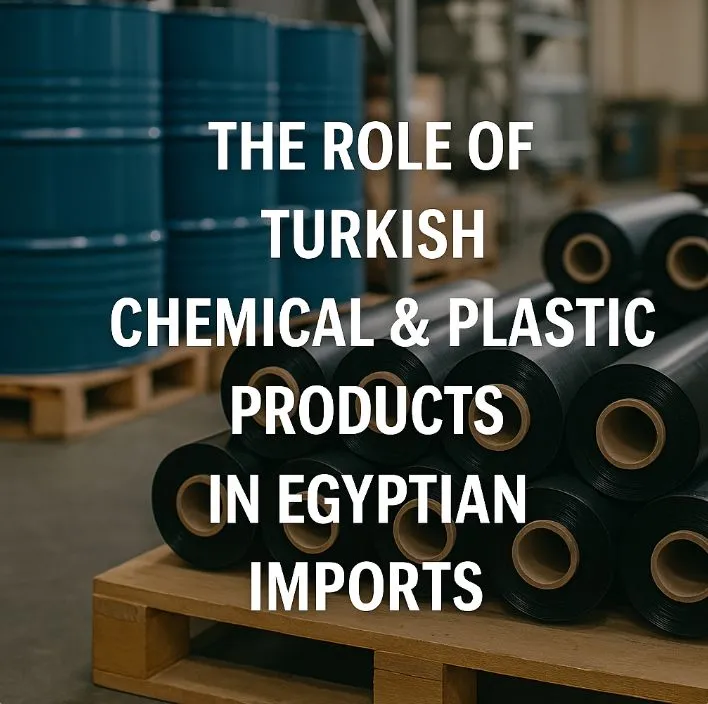Türk Kimya ve Plastik Ürünlerinin Mısır İthalatındaki Rolü