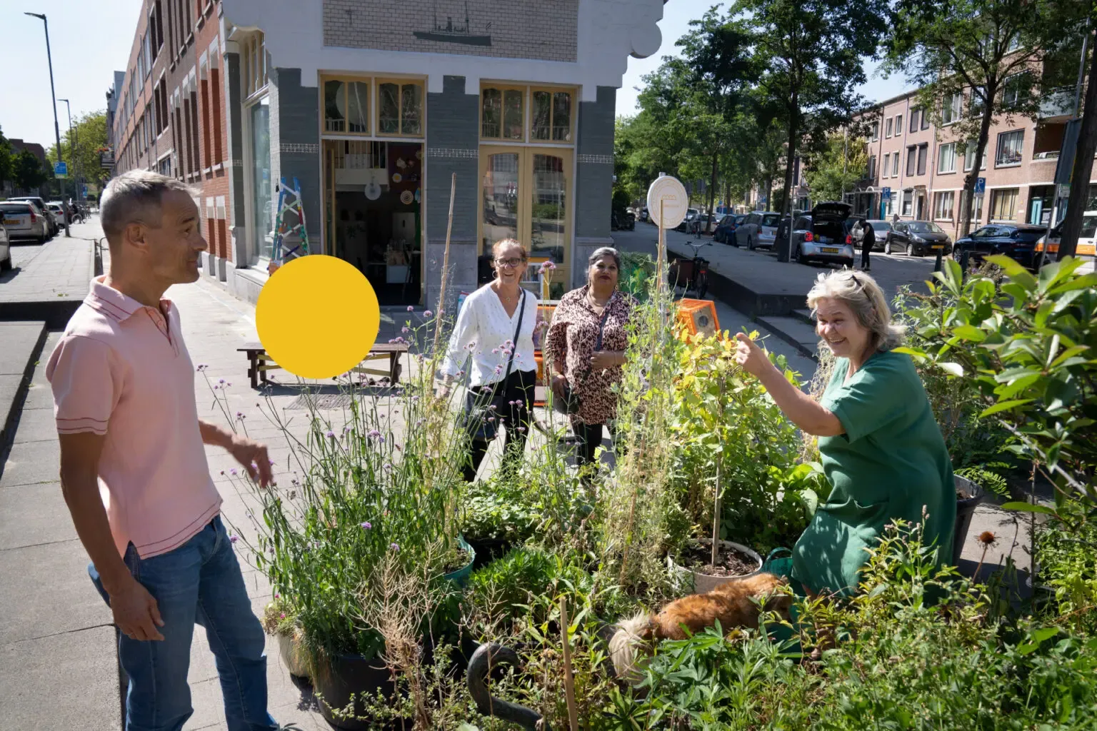 Energie van Rotterdam - Duurzame energie in je eigen wijk